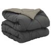 Light_grey_and_anthracite