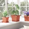vidaXL Quadratischer Blumentopf 6 pcs Ziegelrot 23 x 23 x 17,5 cm