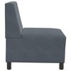 vidaXL Modulares Sofa ohne Armlehnen Dunkelgrau 55 cm Samt