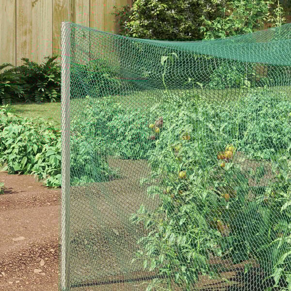 vidaXL Vogelschutznetz Gr&uuml;n 2 x 25 m Polyethylen