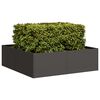 vidaXL Pflanzk&uuml;bel Schwarz 100x100x30 cm Stahl