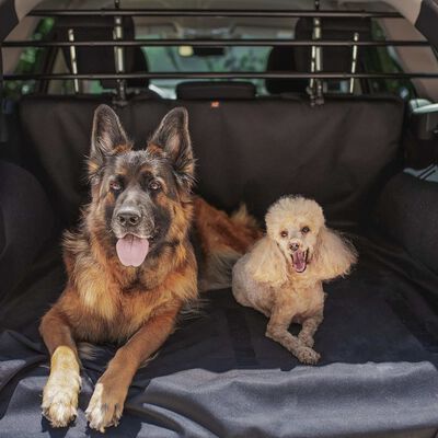 Ferplast Auto-Hundegitter mit Befestigung an Kopfstützen Schwarz