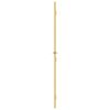 vidaXL Innent&uuml;r Schlank Golden 83x201,5 cm Hartglas und Aluminium