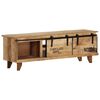 vidaXL TV-Schrank 120x30x40 cm Massivholz Mango