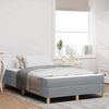 vidaXL Boxspringbett mit Matratze Hellgrau 120 x 200 cm Stoff