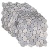 vidaXL Kieselplatten Grau 30 x 30 cm Flusskiesel