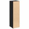 vidaXL Badezimmerschrank mit Rollenhalter Schwarz 20,5x22x72 cm