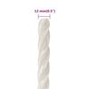 vidaXL Arbeitsseil Wei&szlig; 12 mm 500 m Polypropylen