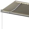 vidaXL Standmarkise Manuell Einziehbar 600x300 cm Creme