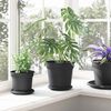 vidaXL Runder Blumentopf 24 pcs Schwarz &Oslash; 19 x 16 cm Kunststoff