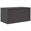 vidaXL Aufbewahrungsschrank Schwarz 80 x 40 x 40 cm Stahl