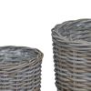 vidaXL Blumentopf Korb mit Speicher 2 pcs Grau Kubu Rattan
