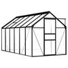 vidaXL Gew&auml;chshaus Anthrazit Aluminium 7,03 m&sup2;