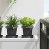 vidaXL Quadratischer Blumentopf 6 pcs Schwarz 16 x 16 x 14 cm