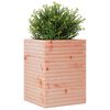 vidaXL Pflanzk&uuml;bel 50x50x68,5 cm Massivholz Douglasie