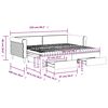 vidaXL Tagesbett Ausziehbar mit Schubladen Schwarz 90x200 cm Samt