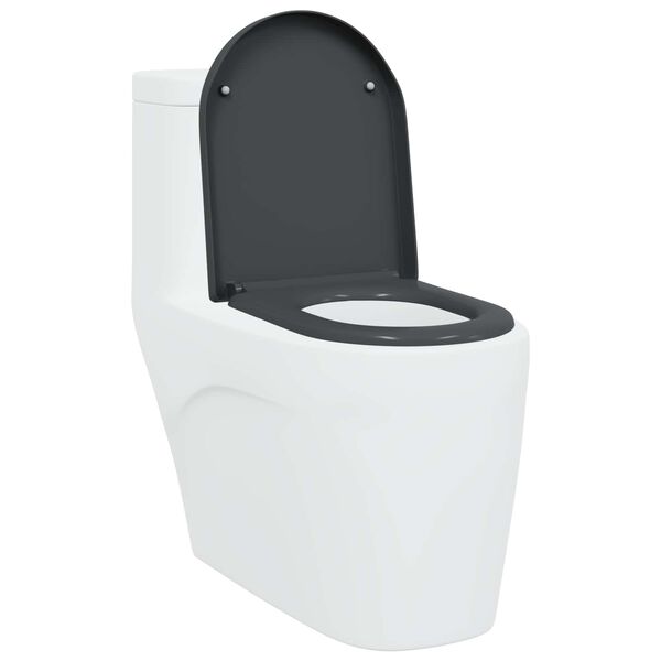 vidaXL Toilettensitz Anthrazit 46,2 x 36 x 4,3 cm Duroplast