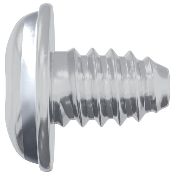 vidaXL Schloss-Schrauben 2 pcs Silber M4 x 5 mm Eisen