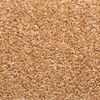 vidaXL Stufenmatten 10 Stk. 65x21x4 cm Beige Rechteckiger Rand