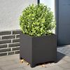 vidaXL Pflanzk&uuml;bel 2 Stk. Schwarz 40x40x40 cm Stahl