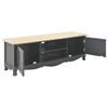 vidaXL TV-Schrank Schwarz 120x30x40 cm Holz