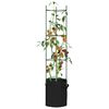 vidaXL Tomatenk&auml;fige mit Pflanzs&auml;cken 4 Stk. 154 cm Stahl und PP