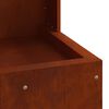 vidaXL Feuerstelle Braun 50 x 50 x 100 cm Stahl