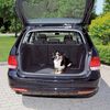 TRIXIE Hunde-Autogitter Schwarz 1316