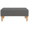 vidaXL Schlafsofa 2-Sitzer mit 2 Kissen & Hocker Hellgrau Stoff