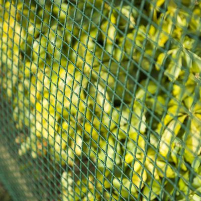 Nature Schweißgitter-Gartenzaun 5x5 mm 1x3 m Grün