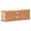vidaXL TV-Schrank mit Stahlt&uuml;ren 120x30x40 cm Mango Massivholz