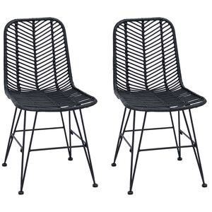 vidaXL Esszimmerstuhl 2 stk. Rattan und Eisen Schwarz