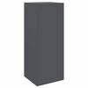 vidaXL Paketdrop-Box mit Speicher Anthrazit 41 x 38 x 103 cm Stahl