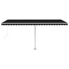 vidaXL Standmarkise Manuell Einziehbar 500x300 cm Anthrazit