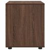 vidaXL Aufbewahrungsschrank Braun Eichen-Optik 60 x 48 x 57 cm