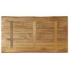 vidaXL Tischplatte mit Baumkante 120x60x3,8 cm Raues Mango Massivholz