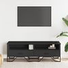 vidaXL TV-Schrank Schwarz 122x34x41 cm Holzwerkstoff