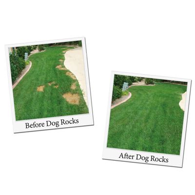 Dog Rocks Steine gegen Hunde-Urinflecken auf Rasen
