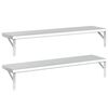 vidaXL Wandregale 2 Stk. 100x23,5 cm Silbern Edelstahl