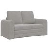 vidaXL Schlafsofa Hellgrau 148 x 71 x 83 cm Samt