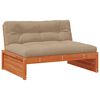 Wax_brown_pine