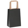 vidaXL Papiertragetaschen 250 Stk. mit Henkeln Schwarz 15x8x21 cm