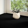 vidaXL Fensterb&auml;nke 2 Stk. Dunkelbraun 90x20x2 cm Massivholz Eiche
