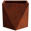 vidaXL Pflanzk&uuml;bel 2 pcs Rostig 30 x 30 x 30 cm Wetterfeststahl