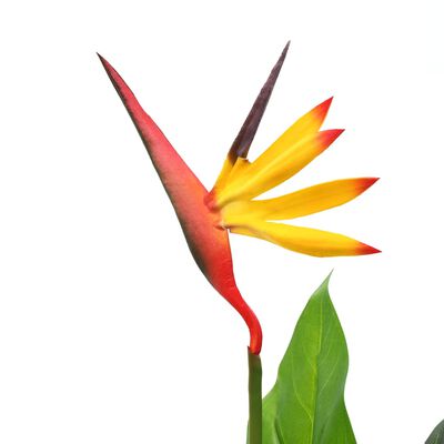 vidaXL Künstliche Strelitzia Reginae Paradiesvogelblume 66 cm