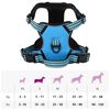 vidaXL Hundegeschirr Reflektierend Verstellbar Blau S