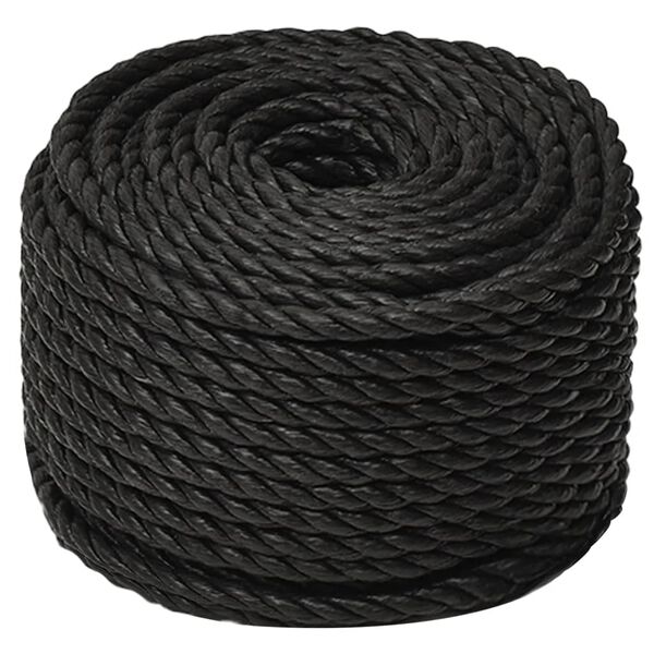 vidaXL Arbeitsseil Schwarz 10 mm 100 m Polypropylen