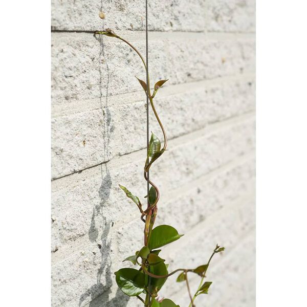 Nature Rankseilsystem f&uuml;r Kletterpflanzen 6040760