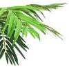 vidaXL K&uuml;nstliche Palme Ph&ouml;nix mit Topf 190 cm Gr&uuml;n