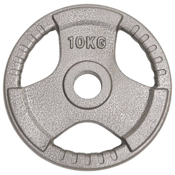 vidaXL Olympische Hantelscheiben 2 Stk. 20 kg Gusseisen